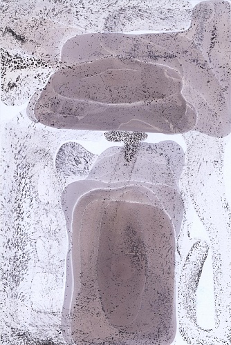 <i>Recording #57</i>, 2007-11