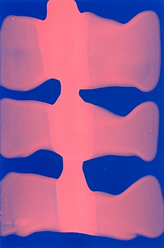 <i>Coloraid #02</i>, 1998-99