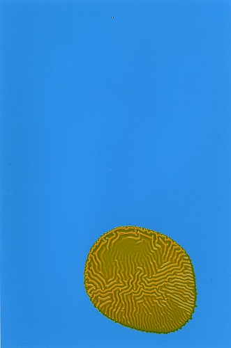 <i>Coloraid #41</i>, 1998-99