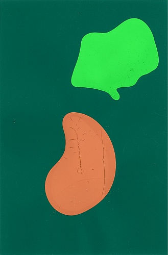 <i>Coloraid #42</i>, 1998-99