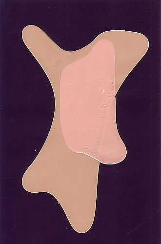 <i>Coloraid #45</i>, 1998-99